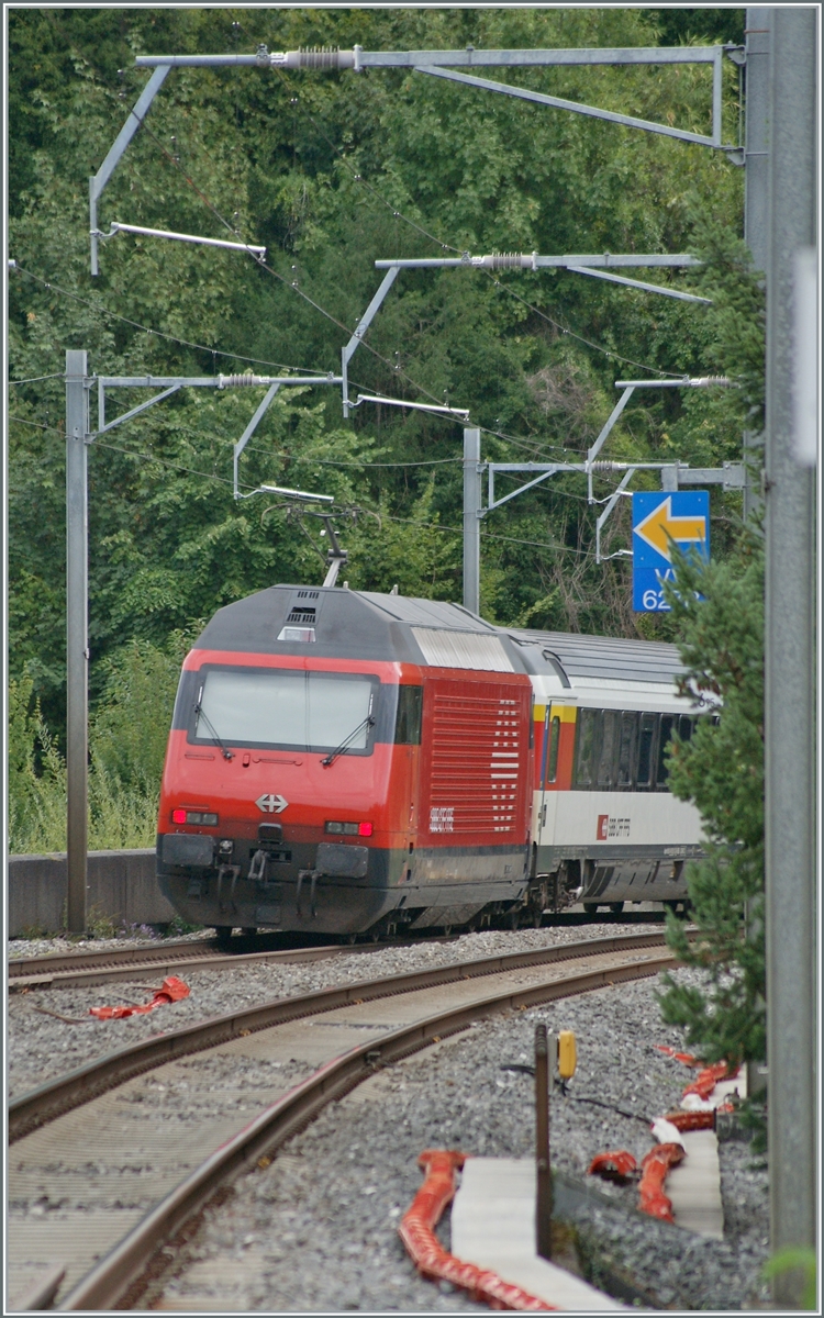 Teleaufnahme einer SBB Re 460 auf dem Weg nach Brig bei Burier.
07.09.2022
 