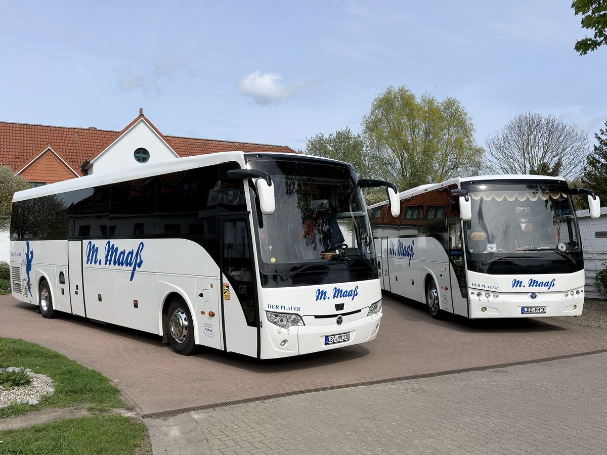 Temsa HD13 und TemsaSafari HD von Plauer Busbetrieb M. Maaß aus Deutschland in Boltenhagen.