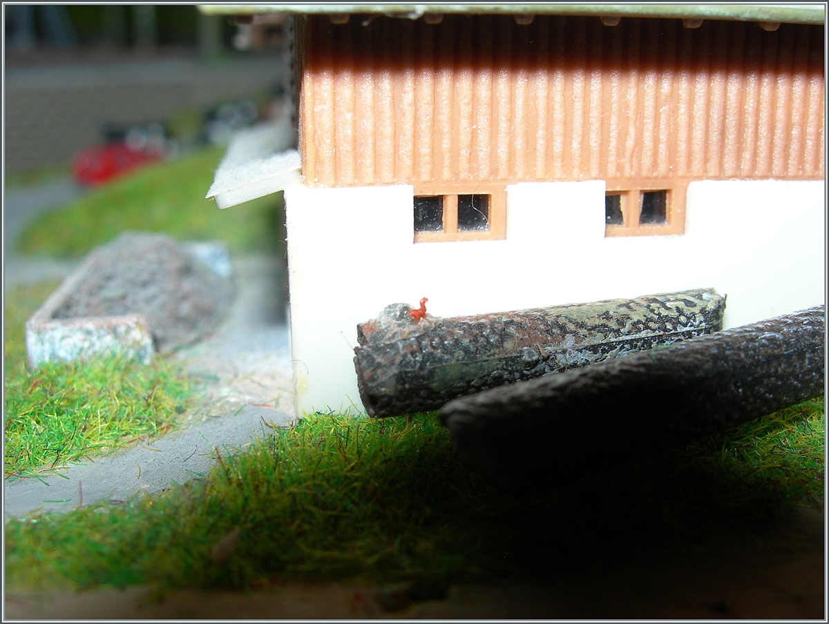 Tierisch klein: Auf einem Baumstamm bei der Scheune sitzt ein Eichhörnchen. 
(Massstab 1:220 / märklin mini club

Dez. 2023