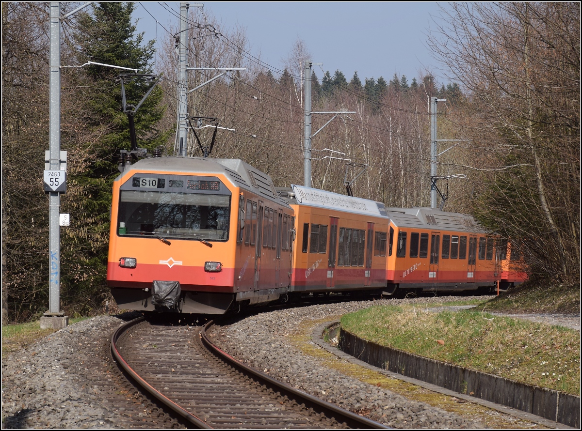 Triebwagen Be 556 522 hinten, ein Tiefeinstiegswagen und ein nicht bekannter Be 556 und vorne Be 556 527 verlassen Uitikon-Waldegg. März 2022.