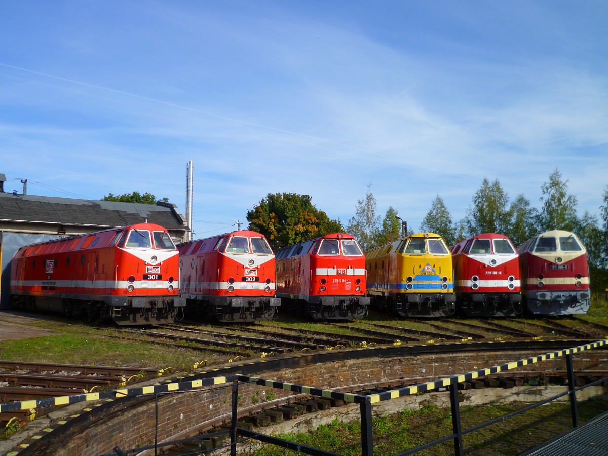 U-Boot und Ludmilla Treffen in Weimar am 13.10.12. Zusehen sind 119 199-8, 229 188-8, 229 100-3, 219 084-1, MEG 302 (229 173) und MEG 301 (229 120). 