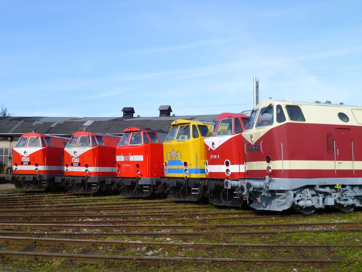 U-Boot und Ludmilla Treffen in Weimar am 13.10.12. Zusehen sind 119 199-8, 229 188-8, 229 100-3, 219 084-1, MEG 302 (229 173) und MEG 301 (229 120). 