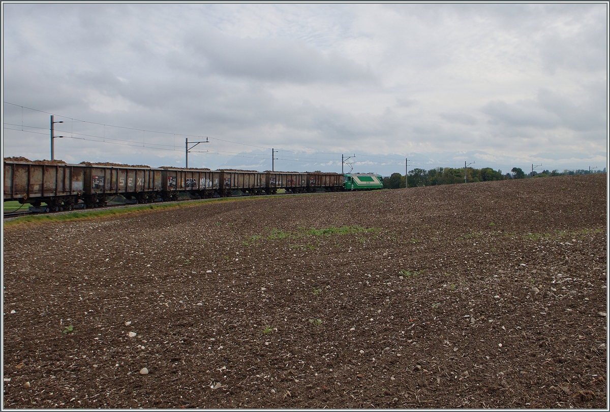 Und ein voller Zuckerrübenzug auf der Fahrt nach Morges bei Yens. 

15. Okt. 2014