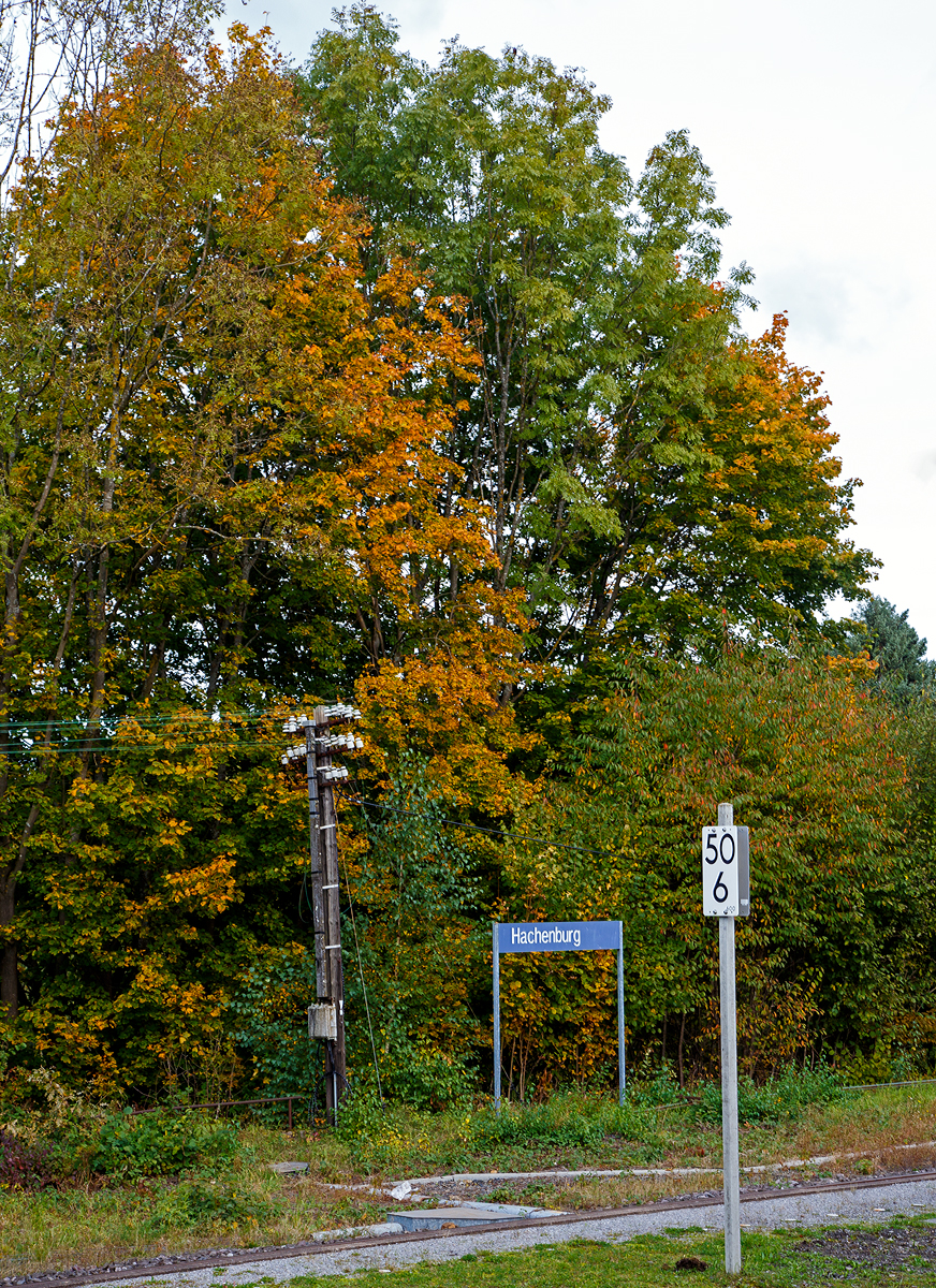 Vereinzelt kann man sie am Westerwald noch finden, wie hier am 17.10.2021 im Bahnhof Hachenburg, die alten Telegrafenmasten und Telegrafenleitungen.