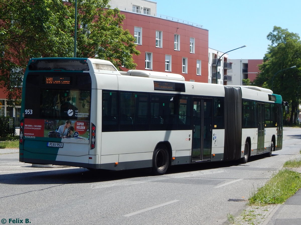 Volvo 7700 vom Verkehrsbetrieb Potsdam in Potsdam.