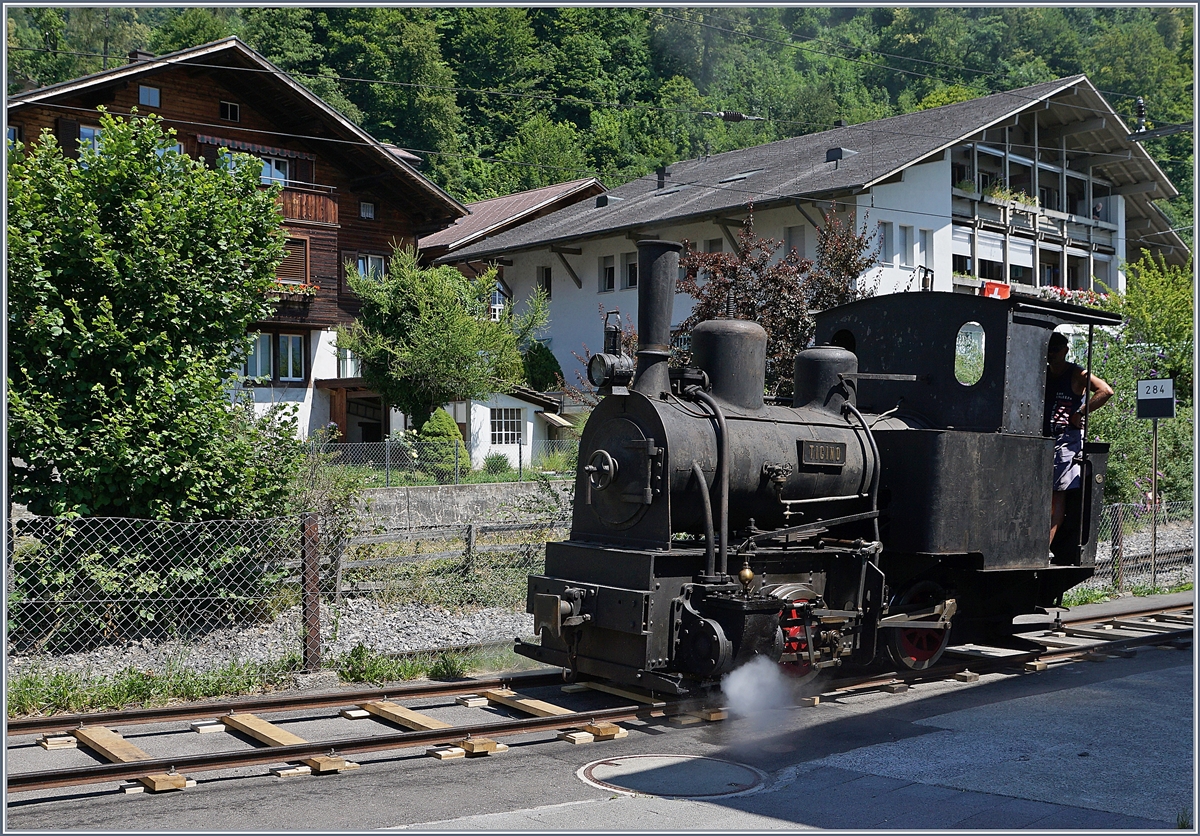 Von Alters her war die Magadino-Ebene eine fruchtbare Landschaft, bis 1515 ein Bergsturz die Gegend verwstete. Mit dem Bau der Eisenbahn nach Locarno Ende des 19 Jahrhunderts wurde dann die Sumpflandschaft entwssert und der Ticino begradigt. Dazu erhielt das Consorzio Correzione del Fiume Ticino diese kleine G 2/2 Bn2t. Die Lok wurde von Arnold Jung in Jungenthal bei Kirchen im Jahre 1889 unter der Fabriknummer 59 gebaut. 1941 wurde die Lok abgestellt und am 20. Mai 2016 als Leihgabe der Familie Travani an Martin Horath abgegeben. Seit dem 3. Sept. 2016 fhrt die Lok wieder. Das Bild zeigt die G 2/2  Ticino  bei Pendelfahrt auf einem eigens dazu verlegten Gleis in Brienz im Rahmen der Schweizer Dampftage Brienz 2018.

30. Juni 2018 