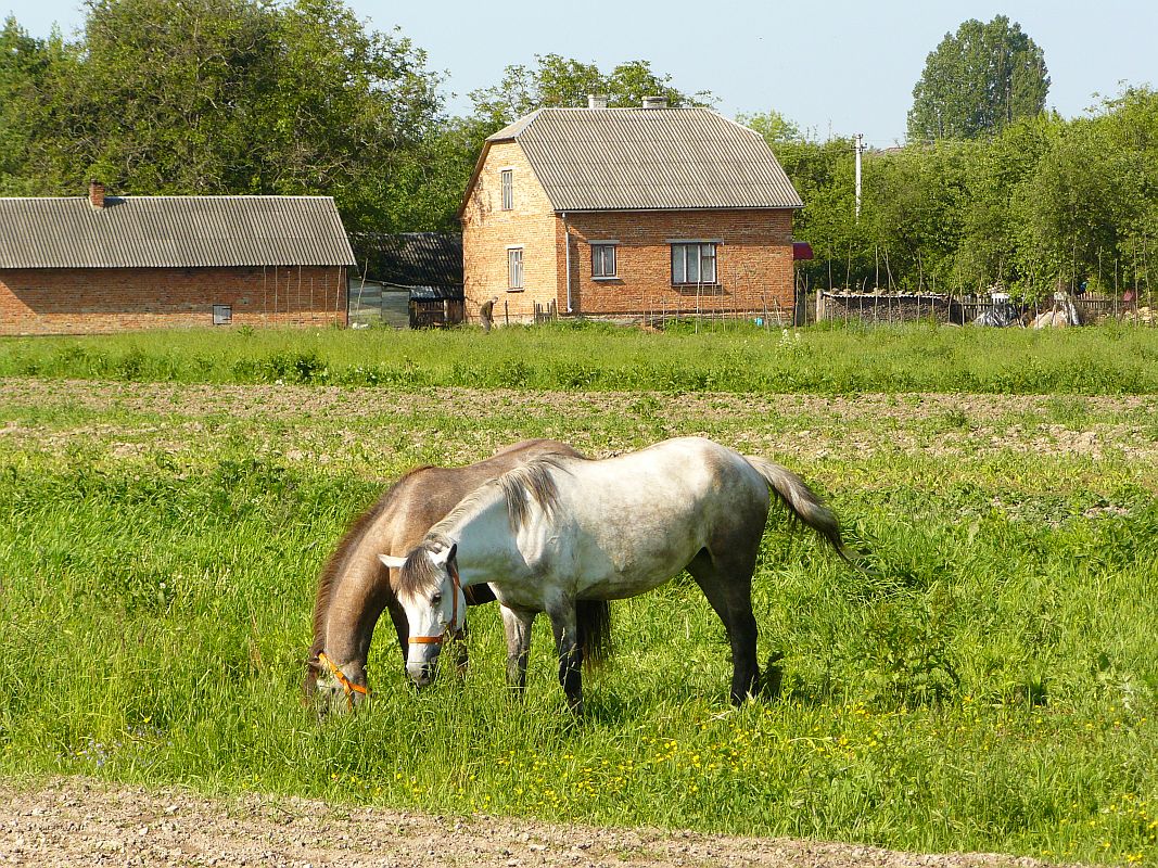 Vul. Proektna, Lavrykiv, Ukraine 21-05-2012.

Vul. Proektna, Lavrykiv, Oekrane 21-05-2012.