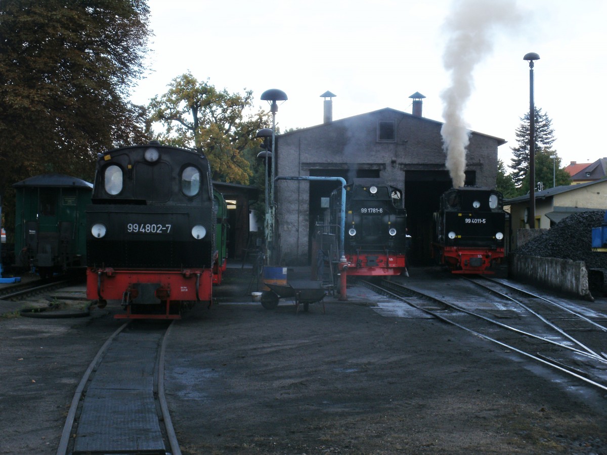 W�hrend 99 1781 und 99 4011,am 29.September 2013,in der Est Putbus angeheizt wurden stand kalt die 99 4802.