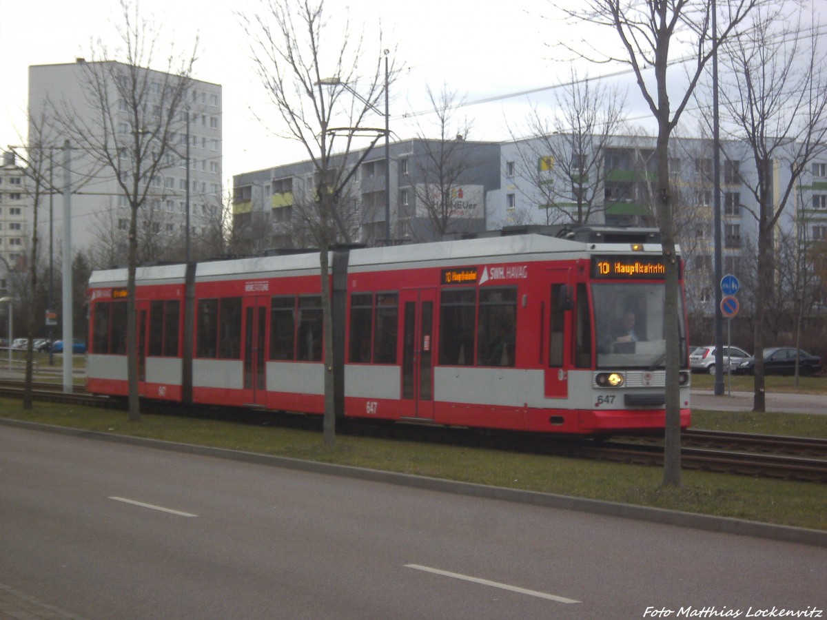 Wagen 647 als Linie 10 mit ziel Hauptbahnhof in hhe S-Bahnhof Neustadt am 15.2.14