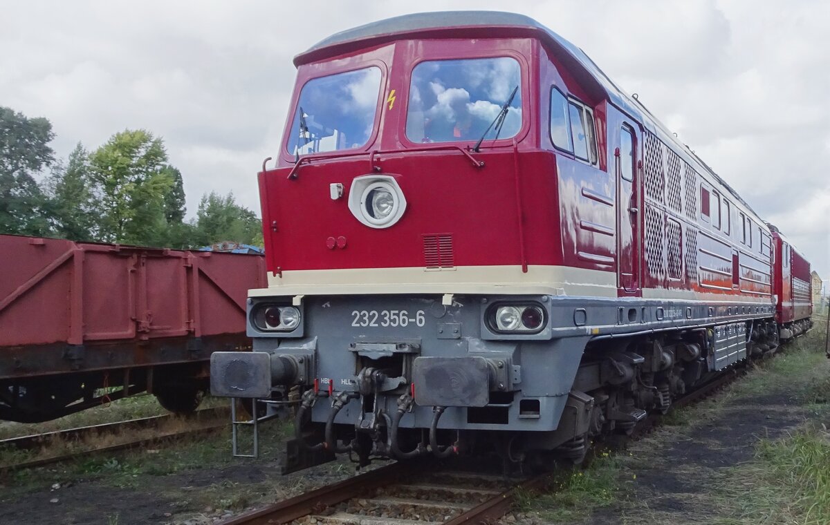 WFL 232 356 steht am 18 September 2022 ins Bw Berlin-Sch�neweide.