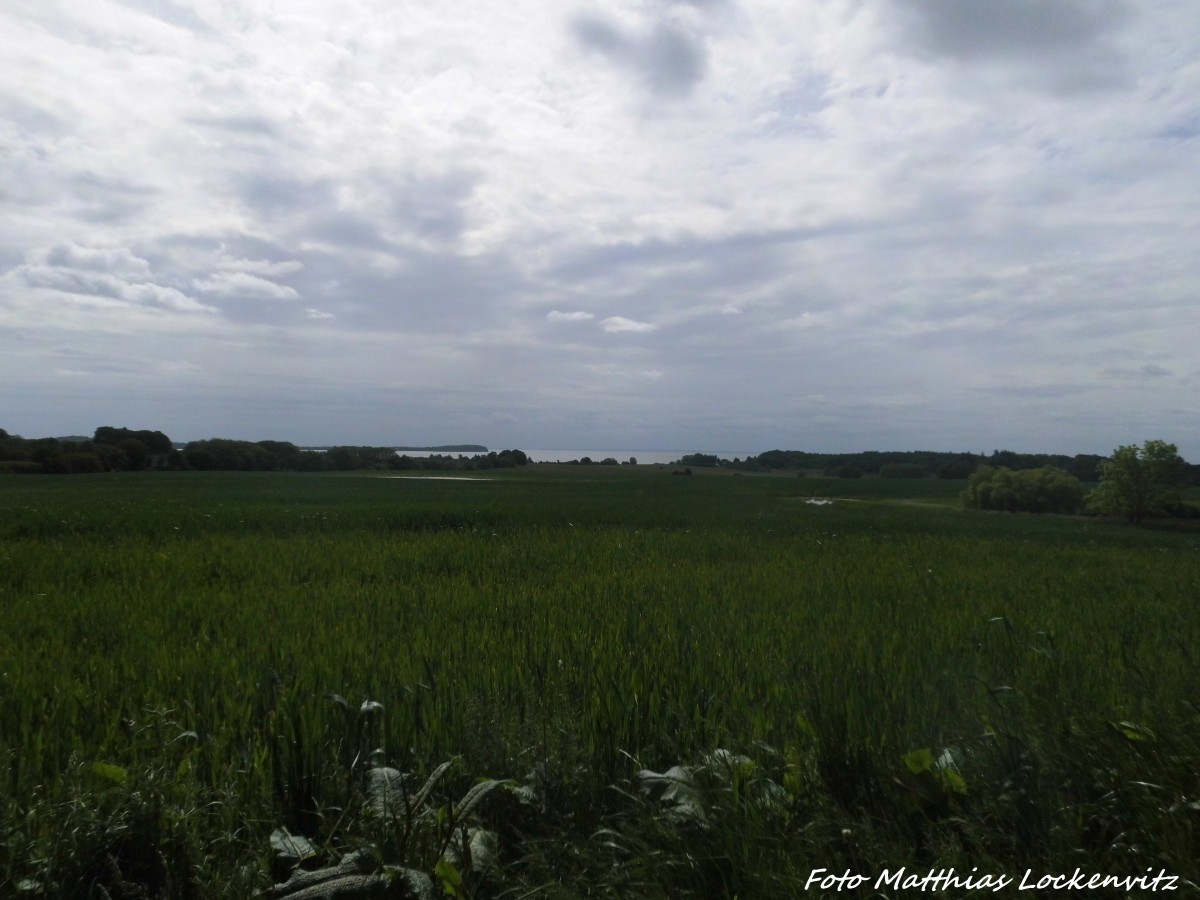 Wiesen,Felder und der Rgensche Bodden am 1.6.15