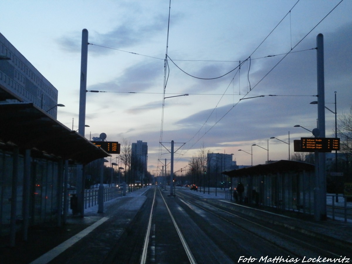 Winterimpression in Halle-Neustadt am 3.2.15