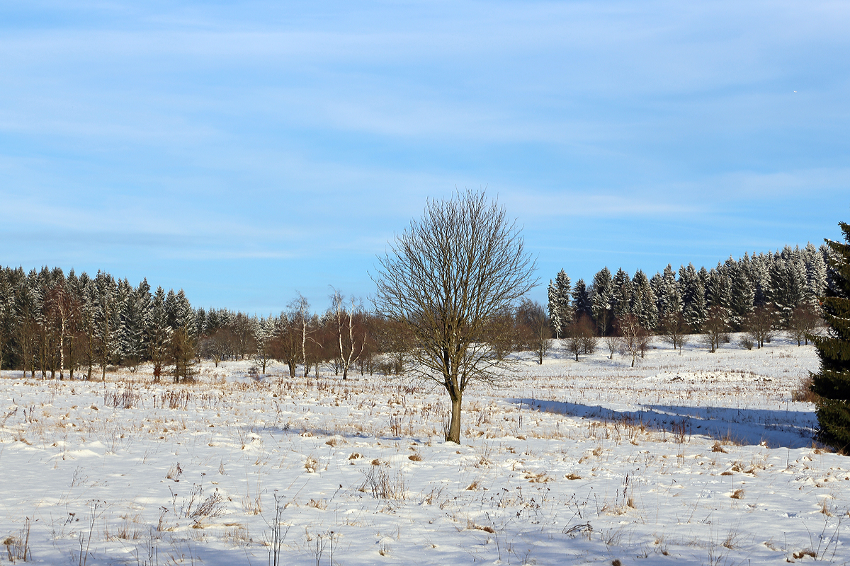 
Winterlandschaft bei Nisterberg (Westerwald) am 05.01.2015.
In den tieferen Lagen ist der Schnee verschwunden, aber hier auf ca. 527 m.ü.M. sieht es doch anders aus.
