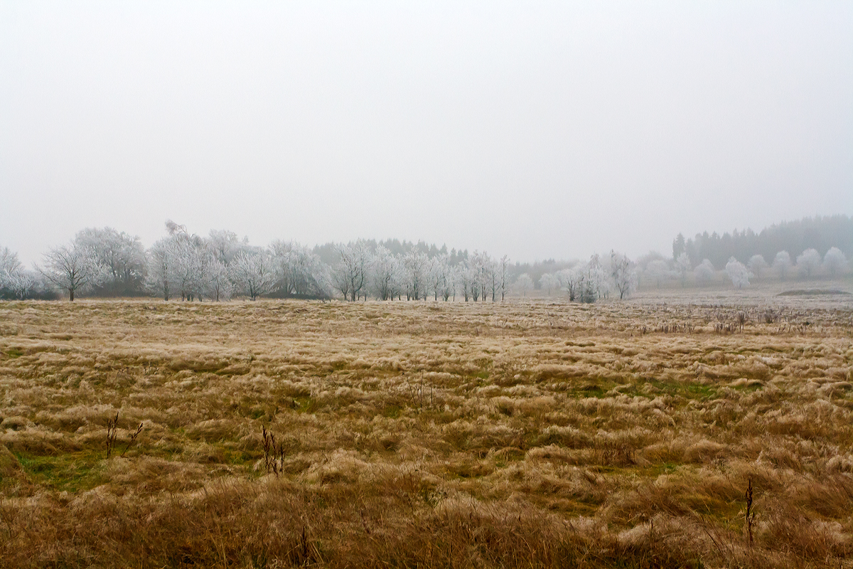 
Winterliche Impressionen
Pünktlich zum 1. Dezember  hat der Winter auf dem Westerwald Einzug gehalten. 
Die Nebeltröpfchen werden zu Eis an den Bäumen. 
Hier ein Blick in die Landschaft bei Nisterberg am 01.12.2014.