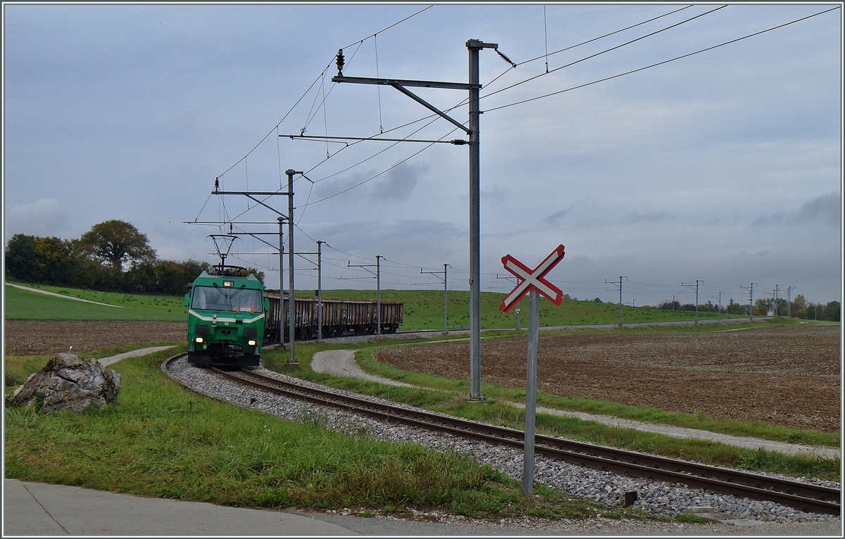 Zwei Bild aus der Zeit, als man bei der BAM noch Zuckerrüben verladen hatte.

Ge 4/4 III bei Reverolle. 

15. Okt. 2014