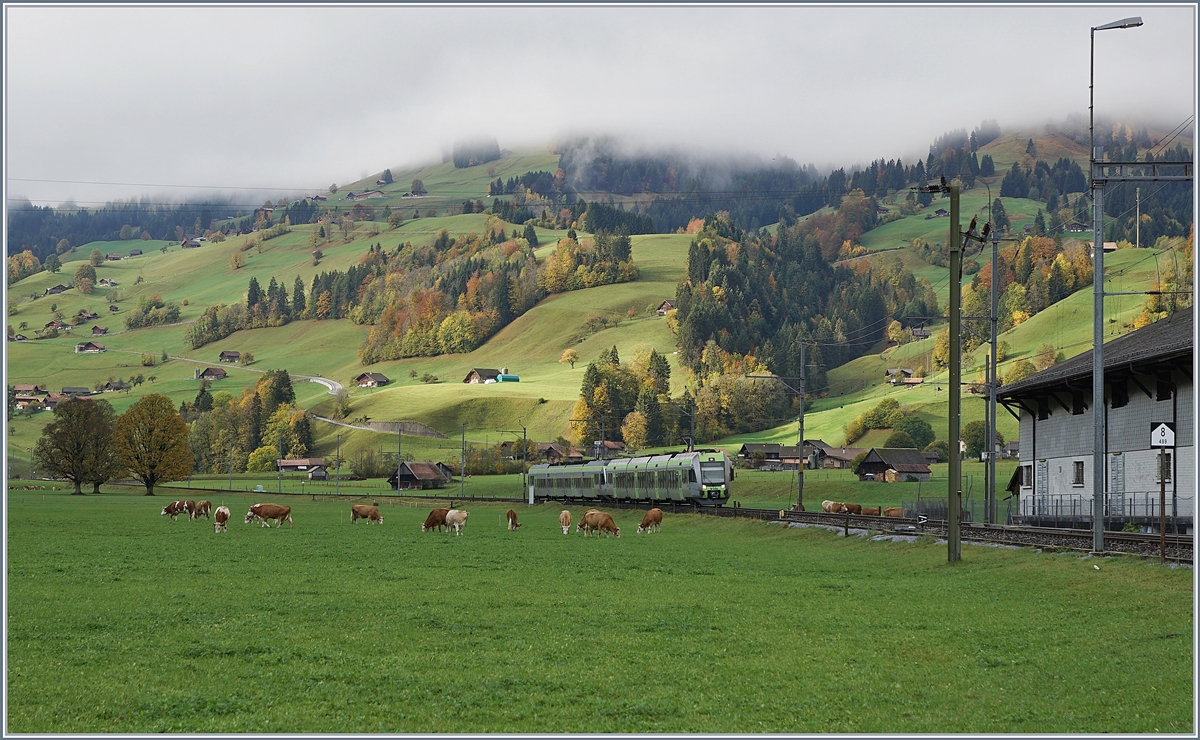 Zwei BLS Lötschberger RABe 535, unterwegs von Zweisimmen nach Spiez erreichen Boltigen. 

22. Okt. 2019
