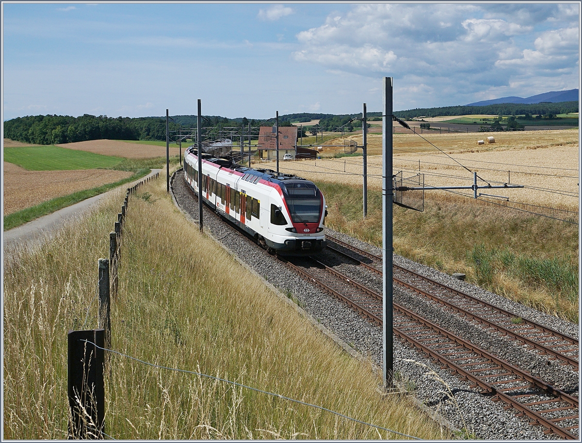 Zwei SBB RABe 523 (Flirt) oberhalb von Arnex auf dem Weg nach Vallobe. 

14. Juli 2020