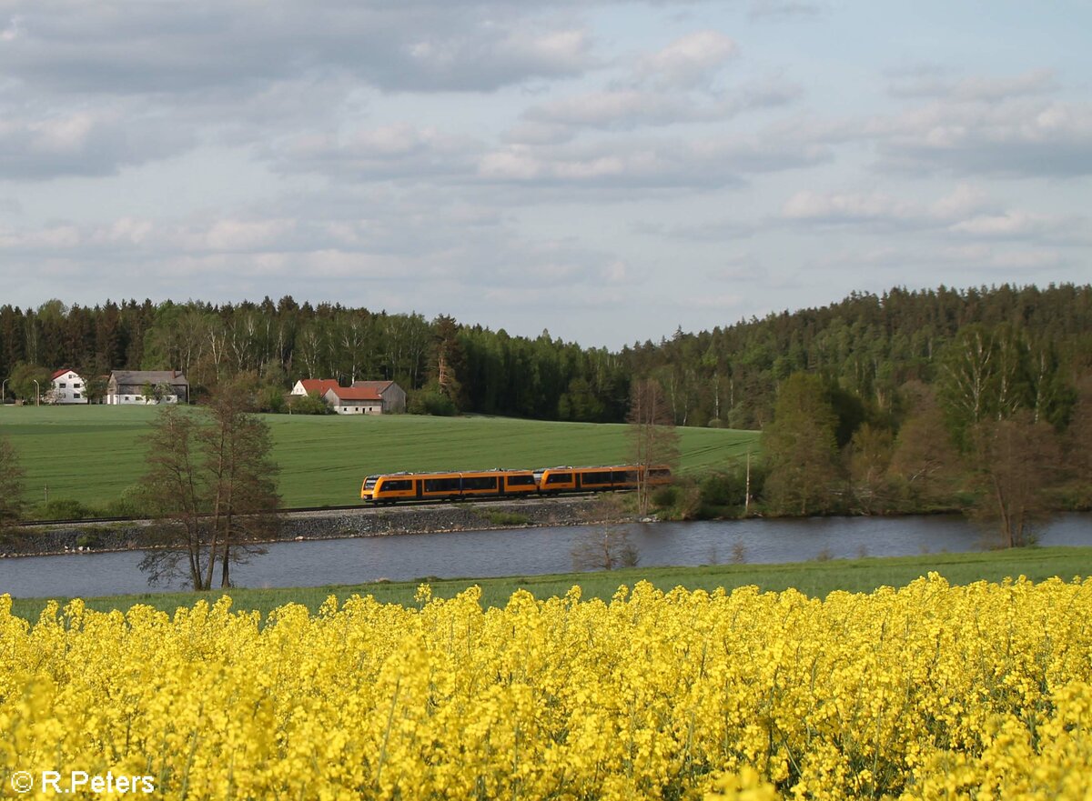 Zwei unbekannte 1648iger der OPB am Rechenweiher in Richtung Sden 13.05.22