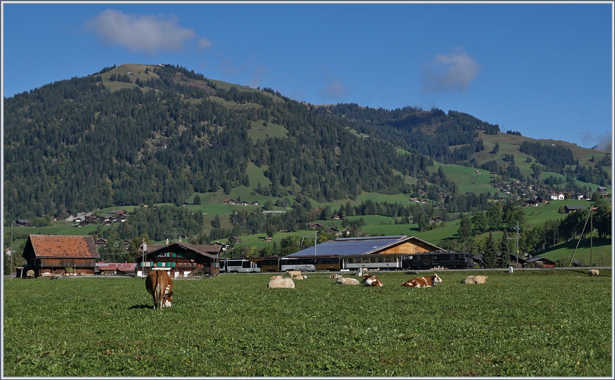 Zwischen Kühen und Bergen fährt die MOB GDe 4/4 6002 mit ihrem Golden Pass Panoramique bei Gstaad in Richtung Zweisimmen. 

3. Okt. 2019