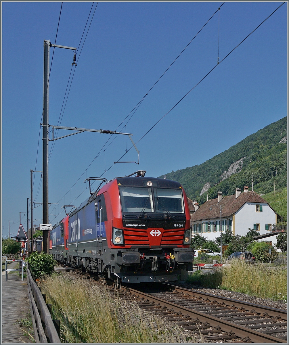 Zwischen Ligerz und Twann ist die SBB Cargo 193 064 mit einer weitern und einer  kalten  Re 4/4 II mit einem Güterzug auf er Fahrt in Richtung Biel/Bienne. 
19. Juni 2025