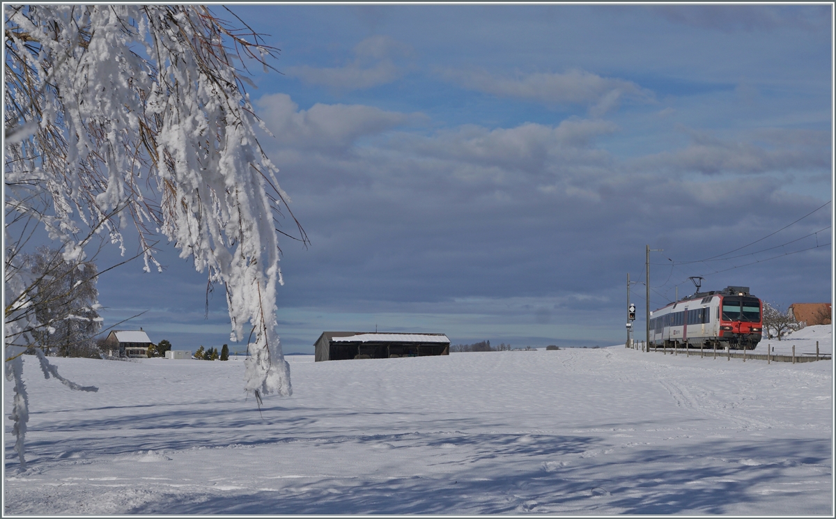 Zwischen Sales und Vaulruz konnte in einer herrlichen Winterlandschaft dieser SBB RBDe 560 Domino fotografiert werden. Der f�r die tpf fahrende Zug ist als RE 3818 von Bern nach Bulle unterwegs.

23. Dezember 2021