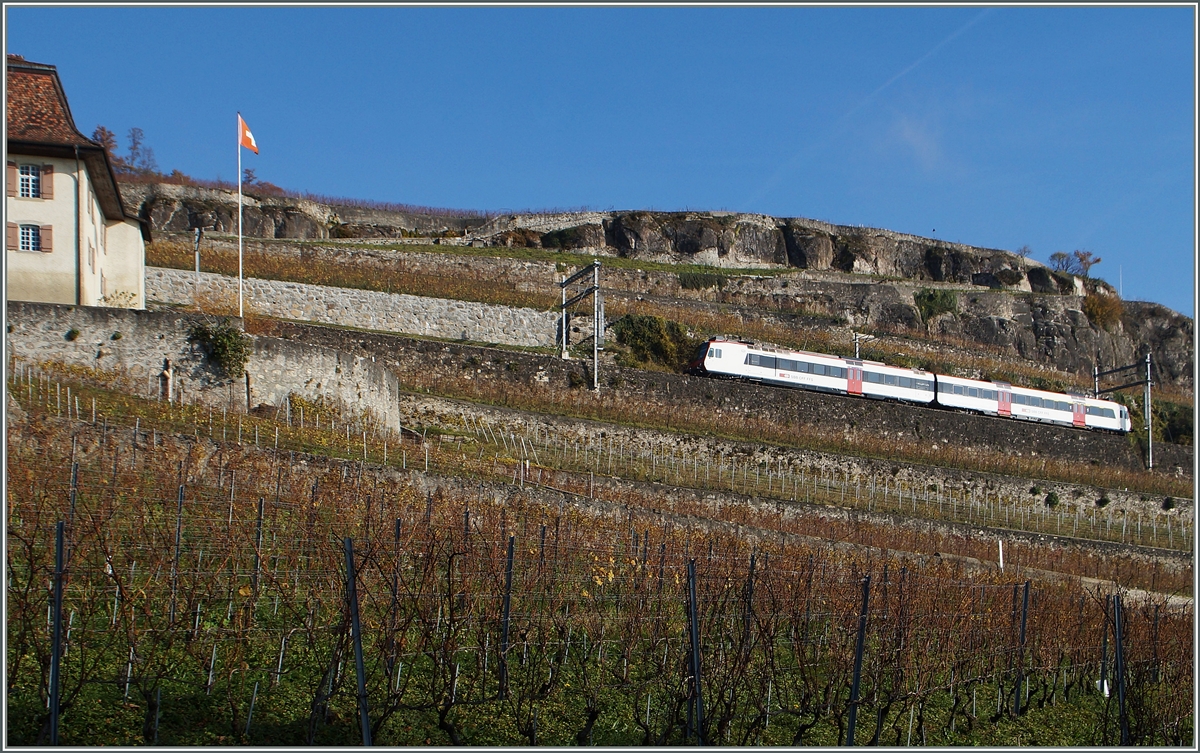 Zwischen Vevey und Chexbres fährt die aus einem  Domino  bestehnde S31 bergwärts.
22. Nov. 2014