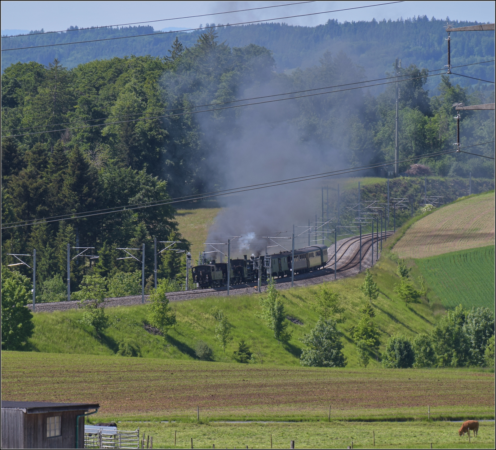 150 Jahre Emmentalbahn. Vierfachtraktion auf Gleisen der Bernischen Staatsbahn.

Alle vier momentan betriebsf�higen Dampfloks der Dampfbahn Bern in einem Zug, das ist ein Fest f�r den Bahnfotografen. Ed 3/4 51 der Bern-Schwarzenburg-Bahn, E 3/3 1 'Lise'des Gaswerks Bern, Ed 3/3 3 'Langnau' der Emmentalbahn und E 3/3 853 der Jura-Simplon-Bahn st�nkern ganz sch�n viel zwischen Trimstein und T�gertschi voll. Mai 2025.