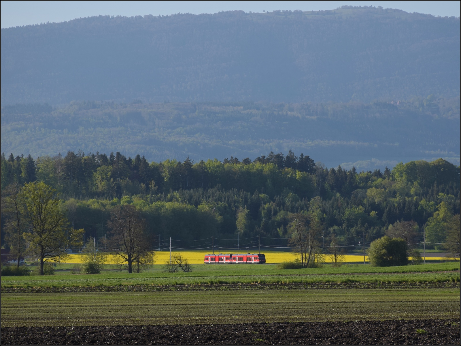 Auf der Biel-Täuffelen-Ins Bahn.

GTW Be 2/6 513 und GTW Be 2/6 512 der ASm. Siselen, April 2022. Das dürfte in etwa an der  Umfallstelle  beim Sturm im März 2022 sein.