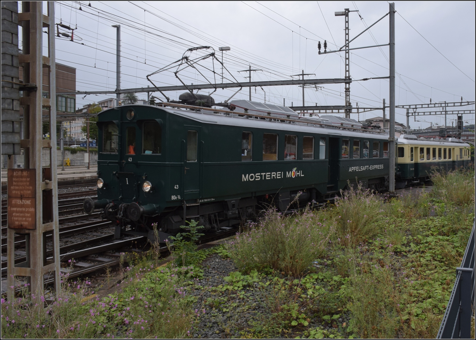 Depotfest Olten 2023. 

BDe 3/4 43 'Tino' der Bodensee-Toggenburg-Bahn wurde 1938 als BCFe 2/4 in Dienst gestellt und 1949 mit einer weiteren Triebachse versehen. August 2023.