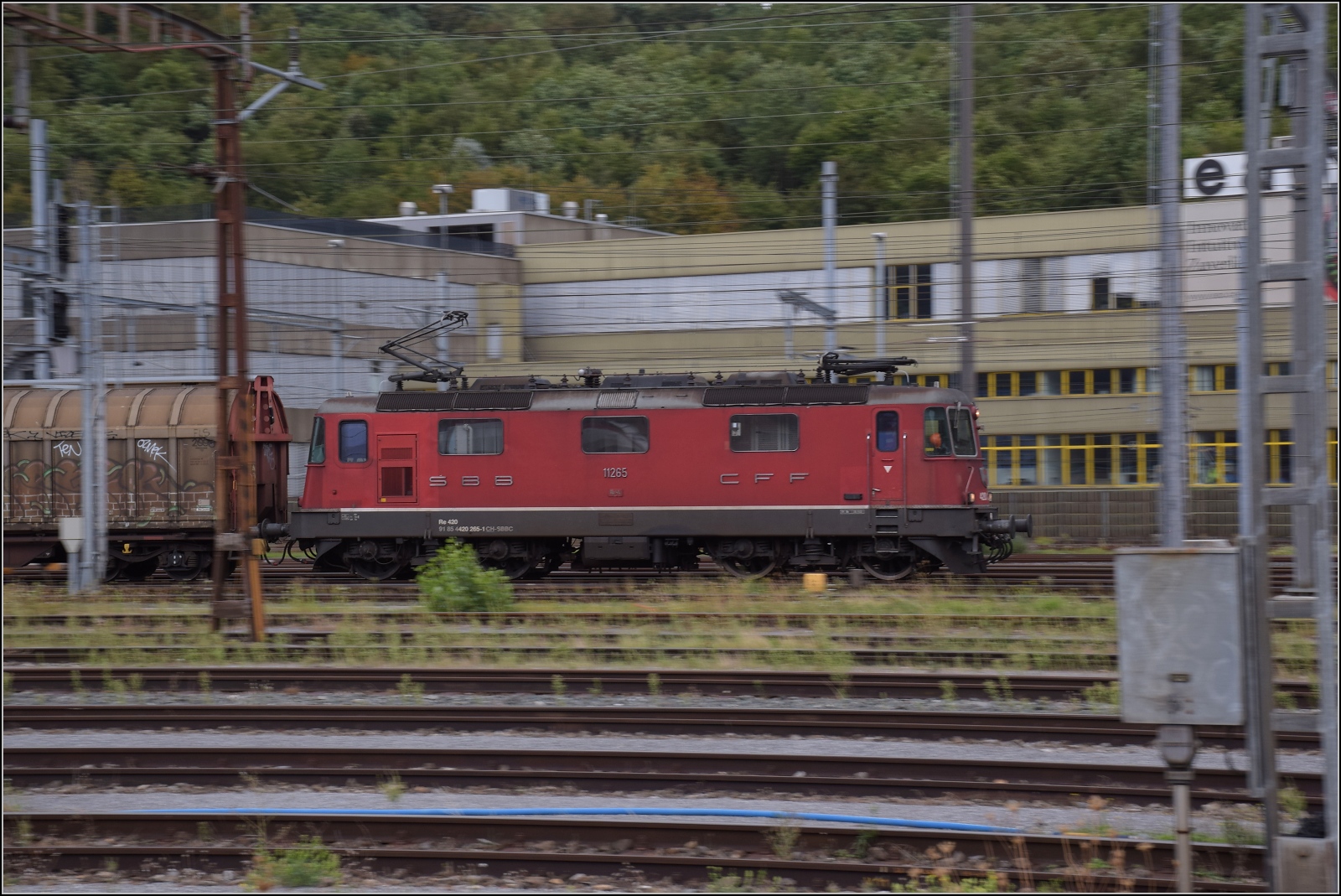 Depotfest Olten 2023.

Noch in freier Wildbahn eilt Re 4/4 11265 durch den zentralen Schweizer Bahnhof Olten. August 2023.