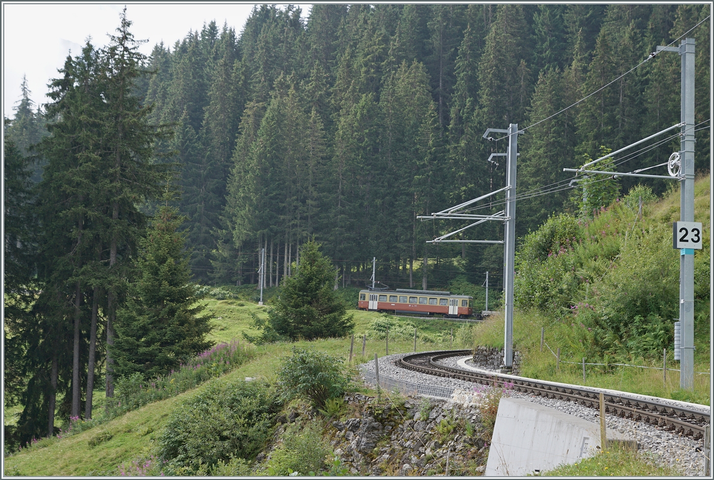 Der BLM Be 4/4 31  LISI  ist zwischen Winteregg und Grütschalp als Regionalzug R 66 (Mürren Grütschalp) unterwegs. 

8. Aug. 2024