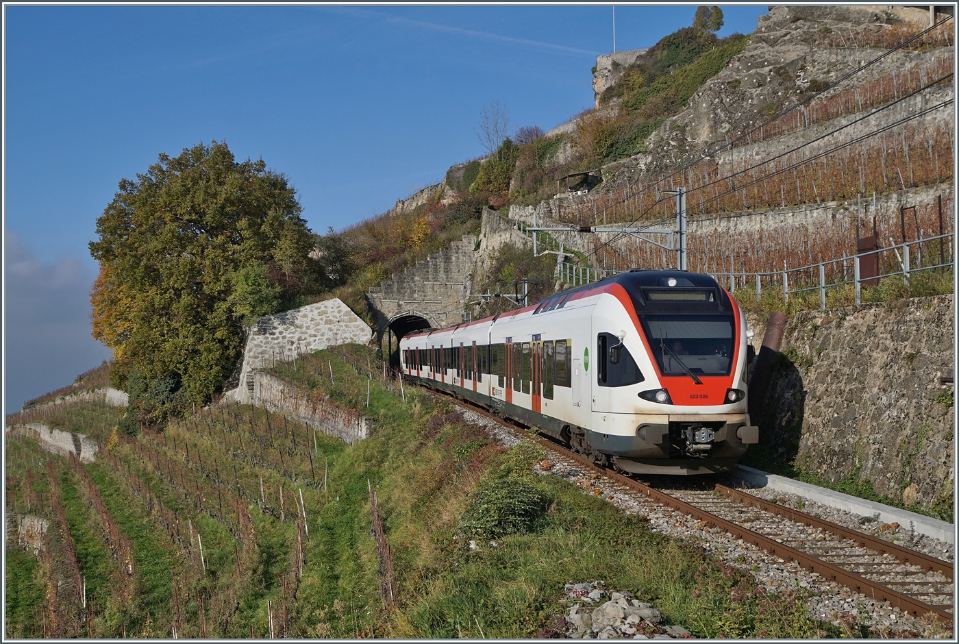 Der SBB RABe 523 028 ist als Regionalzug oberhalb von St-Saphorin auf dem Weg von Puidoux nach Vevey. 

16. Nov. 2024