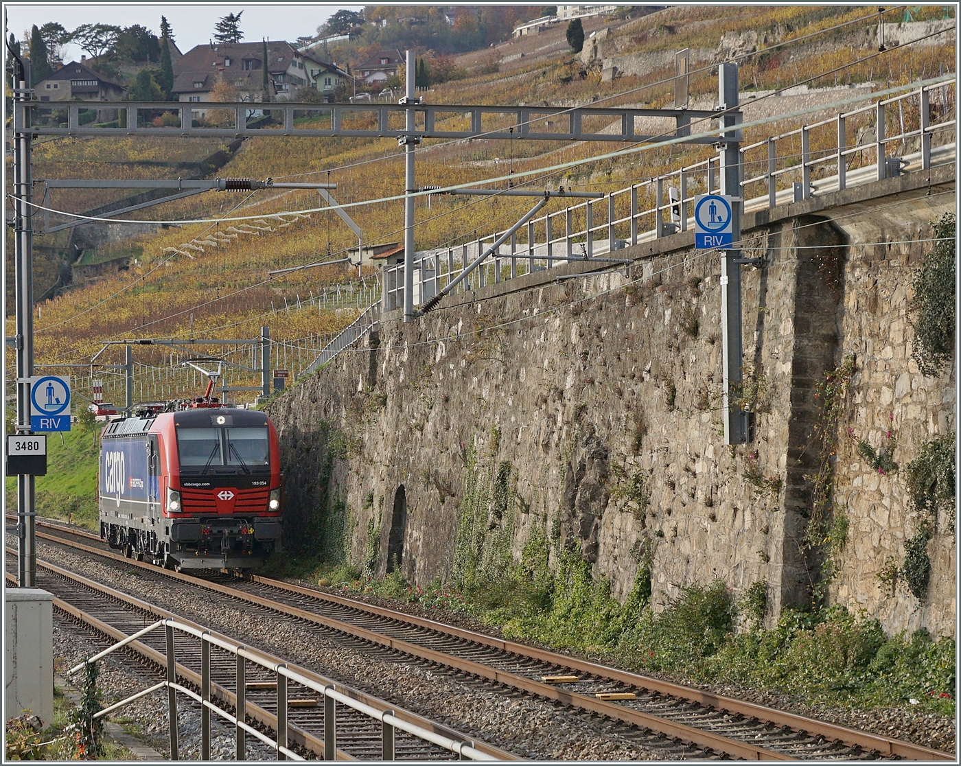 Die 193 054, vermietet an SBB Cargo, ist als Lokfahrt zwischen Rivaz und St-Saphorin auf dem Weg in Richtung Vevey. 

12. Nov. 2024