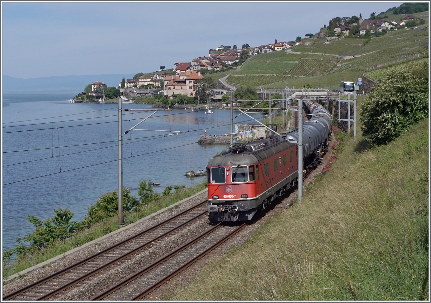 Die rote SBB Re 6/6 11630 (Re 620 030-7)  Herzogenbuchsee  ist mit einen Kesselwagen Ganzzug zwischen Rivaz und St-Saphorin auf me Weg nach St-Triphon. 

19. Mai 2025