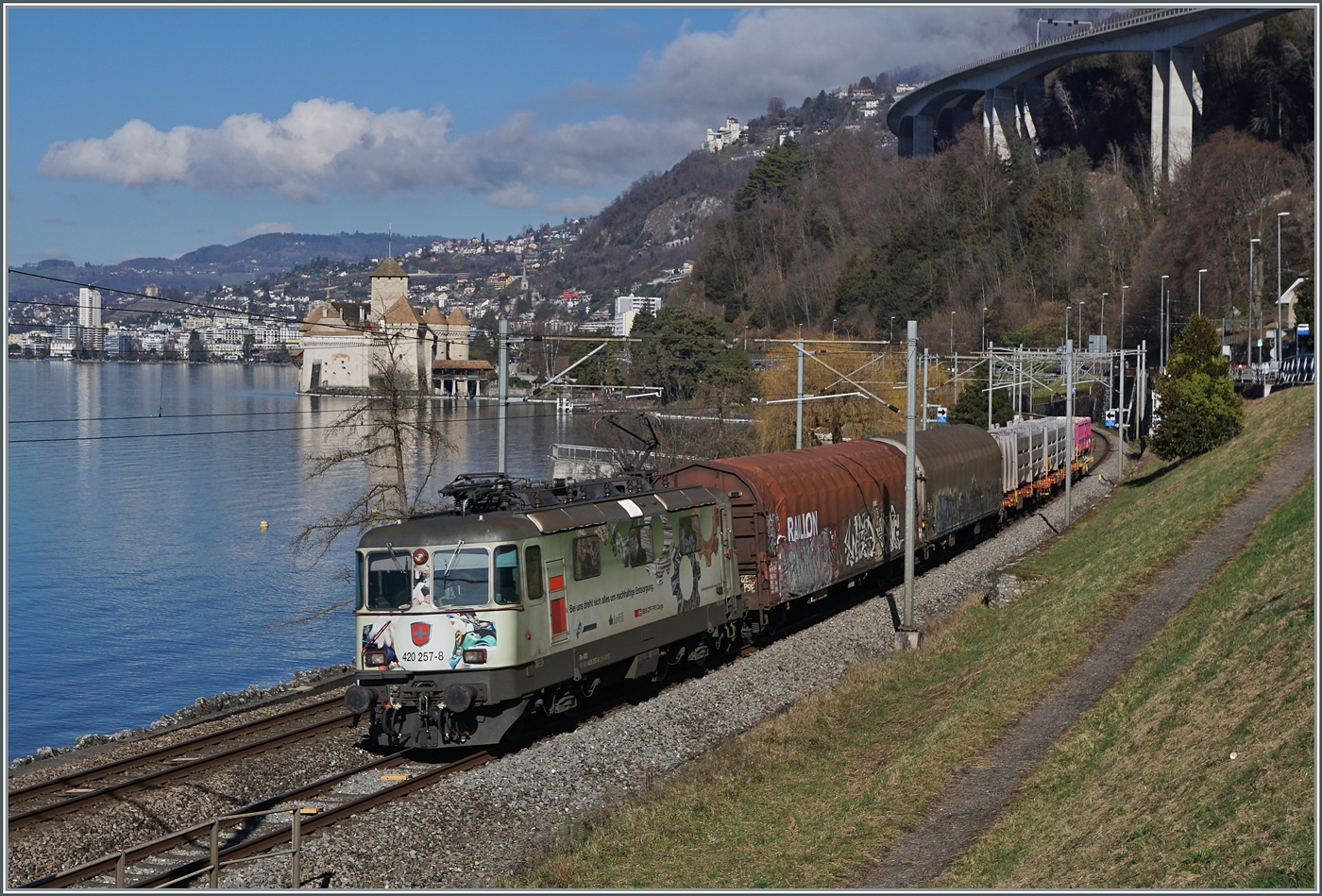 Die SBB Re 4/4 II 11275 (Re 420 257-8) mit einem Werbeanstrich ist mit einem Güterzug Richtung Wallis kurz vor Villeneuve unterwegs. Im Hintergrund das Château de Chillon.

13. Februar 2024 