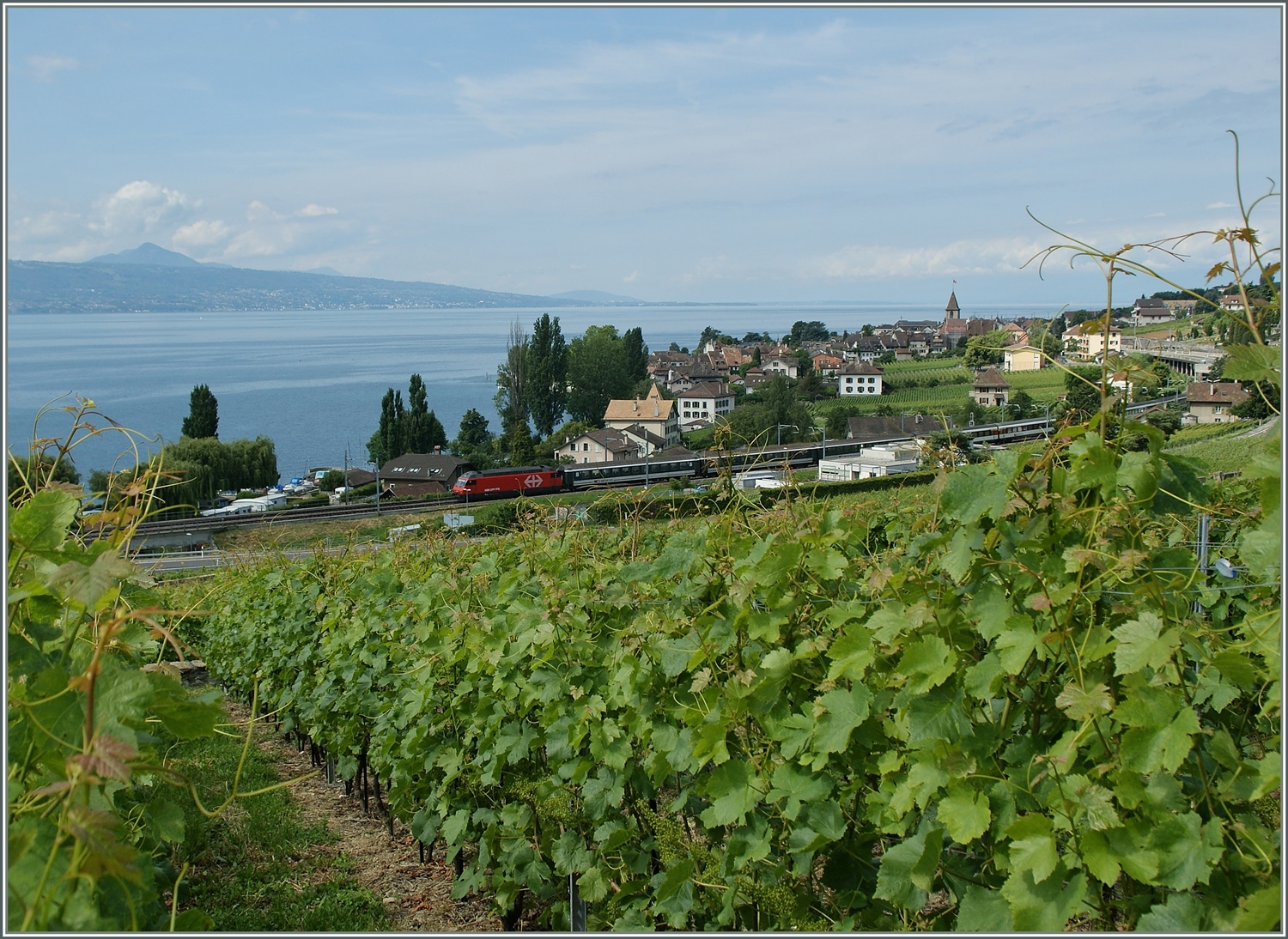 Eine SBB Re 460 mit einem IR nach Brig kurz nach Cully.

15. Juni 2011