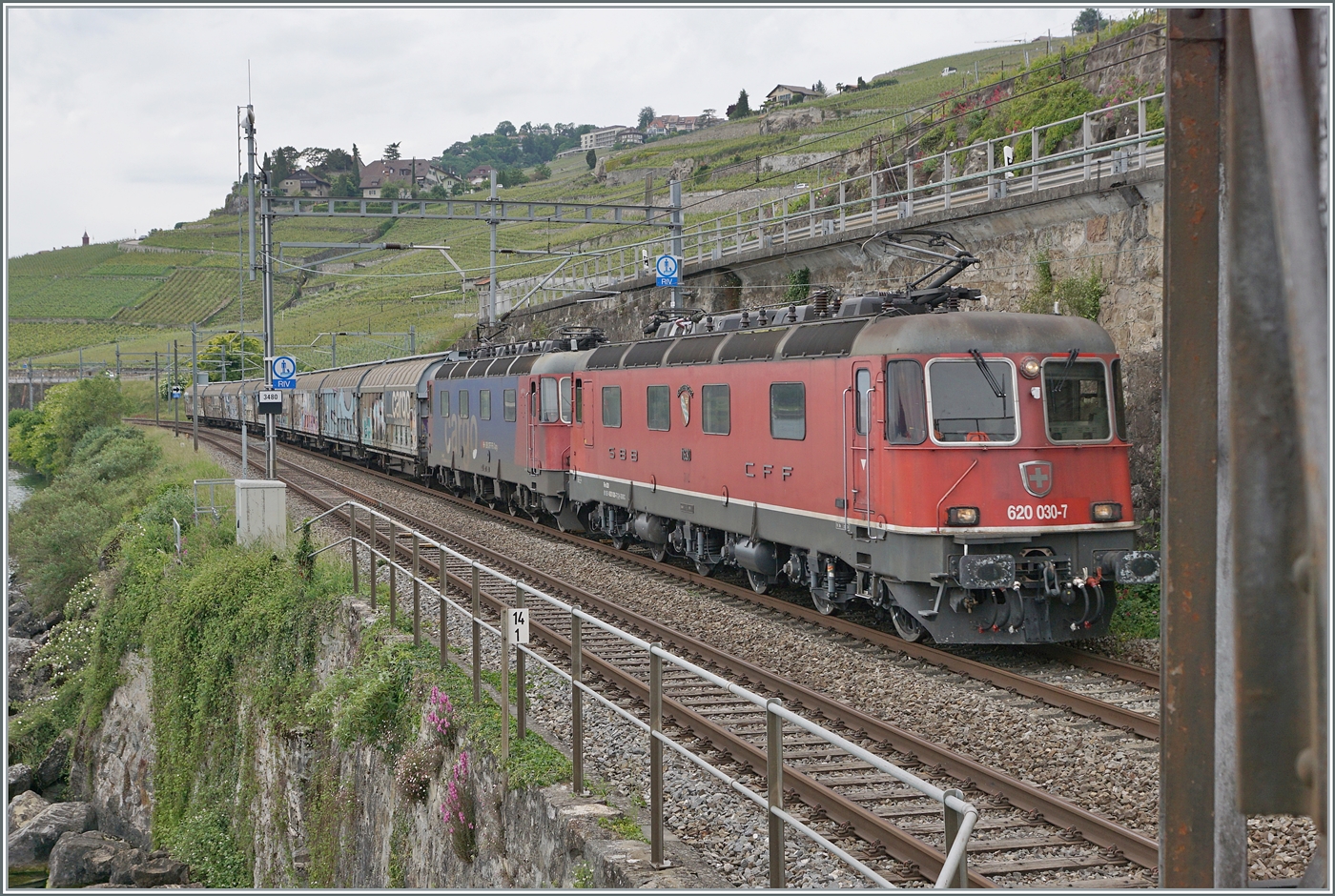 Erneut mit zwei Re 6/6 bespannt ist zwischen Rivaz und St-Saphorin ein SBB Cargo Güterzug in Richtung Wallis unterwegs. An der Zugsspitze führt die rote SBB Re 6/6 11630 (Re 620 91 85 4 620 030-7 CH SBBC)  Herzogenbuchsee den Zug und dahinter hilft die Re 6/6 11624  Rothrist . 
Der SBB Cargo EWLV Zug ist von Lausanne nach Zürich via Kandersteg unterwegs, was auch den Bedarf an ZWEI re 6/6 erklärt.

16. Mai 2025