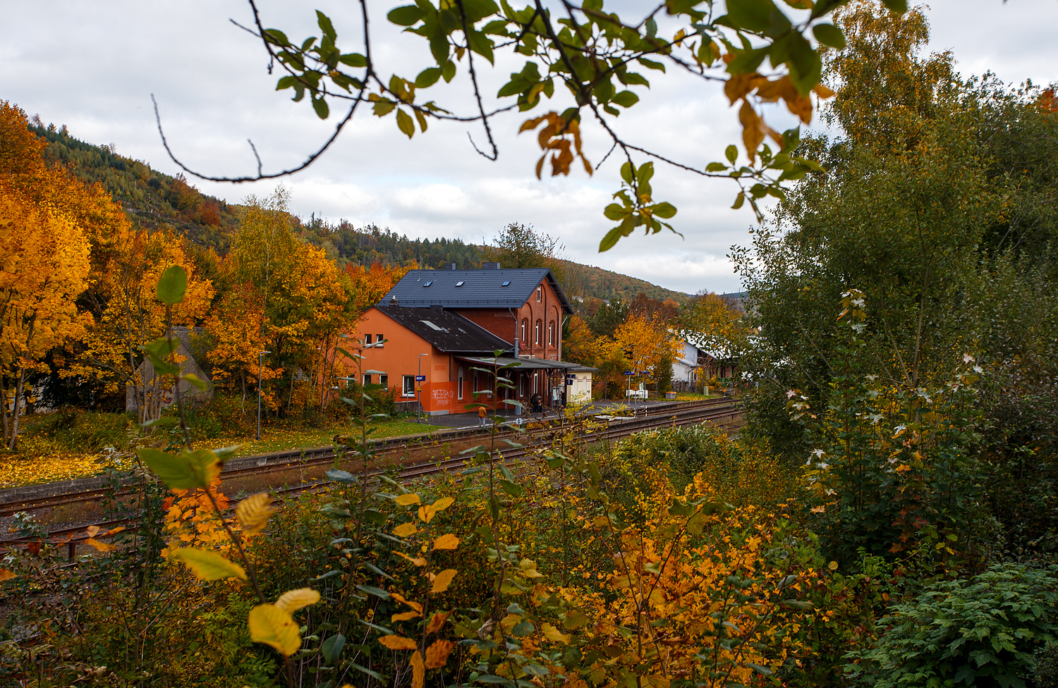 Es ist Herbst, auch beim Bahnhof Herdorf, hier am 14 Oktober 2025 ein Blick über die Gleise hinweg. Rechts der ehemalige Güterschuppen.

Der Bahnhof Herdorf liegt an km 90,1 der „Hellertalbahn“ KBS 462.

Übrigens hier recht im Bild war früher mal die Verladebrücke der schmalspur Grubenbahn ins Sottersbachtal (im Herdorfer Volksmund  Bähnchens  genannt). Diese fuhr bis zum 4.12.1962, heute ist nicht mehr davon zusehen.