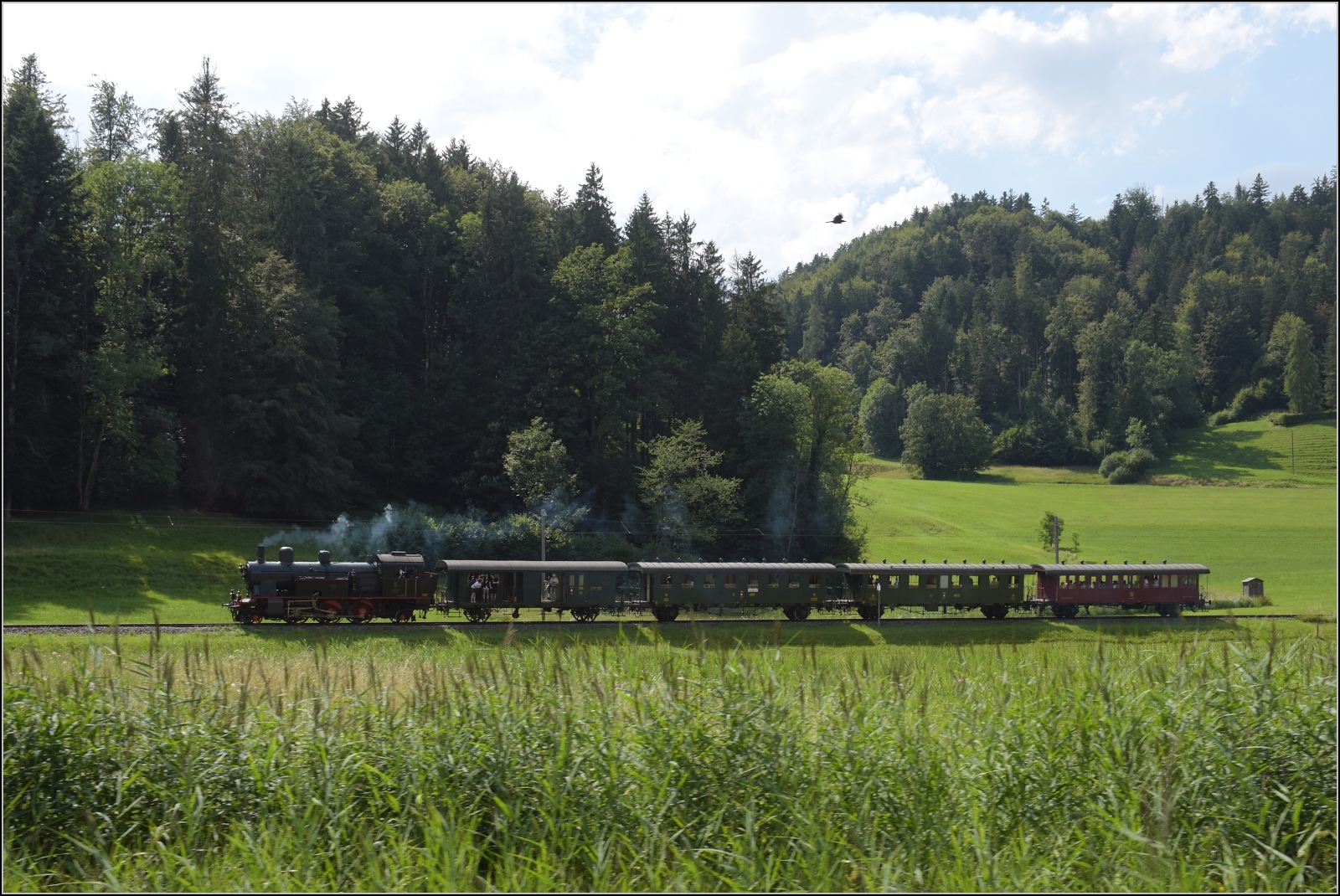 Fahrtag im Z�rcher Oberland. 

Eb 3/5 der BT, heute durch den DLC betreut, mit ihrem Museumszug der DVZO bei Bussenthal. Juli 2023.