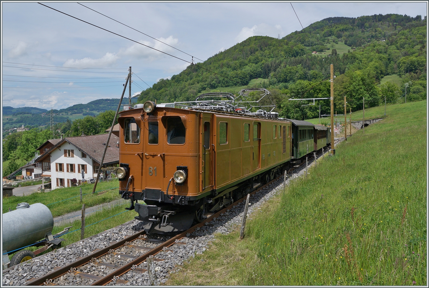 Festival Suisse de la vapeur 2024 / Schweizer Dampffestival 2024 der Blonay-Chamby Bahn. Wenige Züge wurden auch mit elektrischer Traktion befördert und dafür kamen überwiegend der FZe 6/6 2002 und die Ge 4/4 81 zum Einsatz. Das hier gezeigte Bild zeigt die Bernina Bahn Ge 4/4 81 der Blonay Chamby Bahn auf der Fahrt von Blonay nach Chamby kurz vor Cornaux. Beachtenswert, auch wenn nur als Detail am Rande, sind die neuen Holzfahrleitungsmasten auf dem Streckenabschnitt Cornaux - Tunnle Baye de Clarens und die neue Gleise auf diesem Abschnitt. 

20. Mai 2024 
