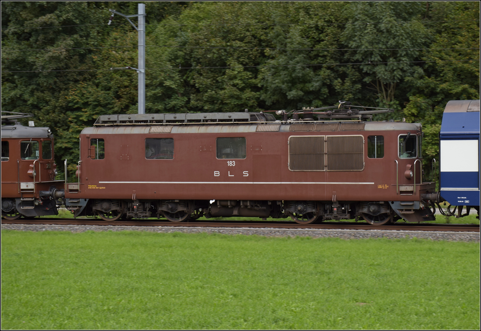 Grosses BoBo-Treffen in Balsthal - die Teilnehmerinnen:

Mit der Re 4/4 als Analogon zu den Re 4/4 II der SBB machte auch die BLS den Schritt zur schnellen Bogenfahrt und packte mit einer moderneren Regeltechnik gegenüber den einfacher gebauten Re 4/4 II der SBB noch ein wenig Leistung und sehr viel Zugkraft oben drauf. Die Anfahrzugkraft von 314 kN (bei aus heutiger Sicht  nur 80 Tonnen ) sollte erst viele Jahrzehnte später ganz knapp getoppt werden. Das Äussere hingegen ist im Erscheinungsbild den älteren Ae 4/4 angepasst, wodurch diese Loks schon vor dem Ende des Jahrhunderts einen historischen Eindruck erweckten - ganz im Widerspruch zu den inneren Werten. Gemeinsam mit den Re 4/4 II der SBB haben diese Loks auch die ungewöhnlich lange Bauzeit von 1964 bis 1982. Als Vertreterin der Baureihe entsandte die BLS die Re 4/4 183 'Kandersteg'. Äussere Klus, September 2024.