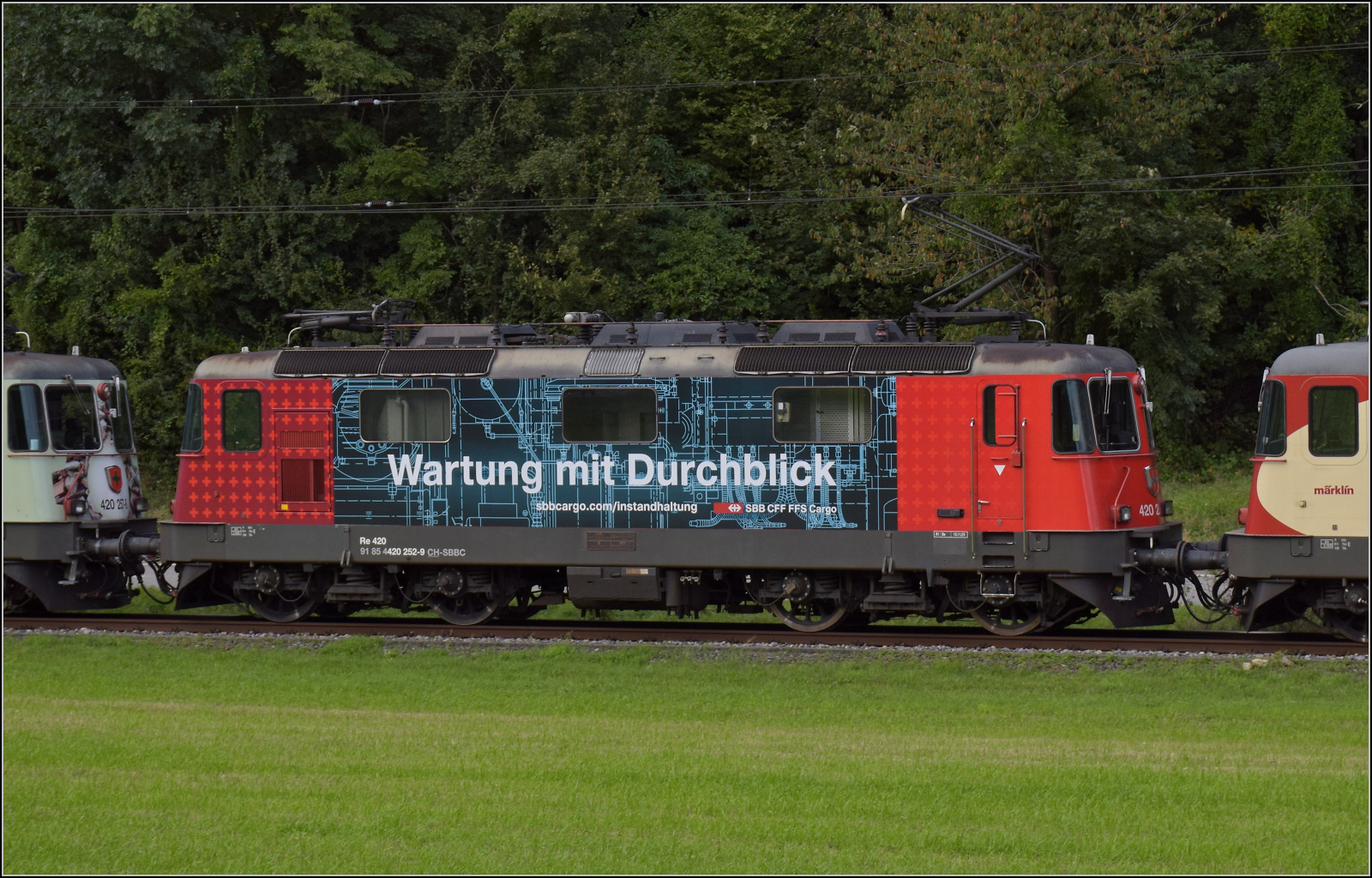 Grosses BoBo-Treffen in Balsthal - die Teilnehmerinnen:

Re 4/4 II 11252 mit Werbung für die eigenen Werkstätten: 'Wartung mit Durchblick'. Diese Lok entstammt der 2. Serie, die einige Verbesserungen erfahren hat. Äusserlich ist dies schnell an den zwei Stromabnehmern sichtbar. Äussere Klus, September 2024.