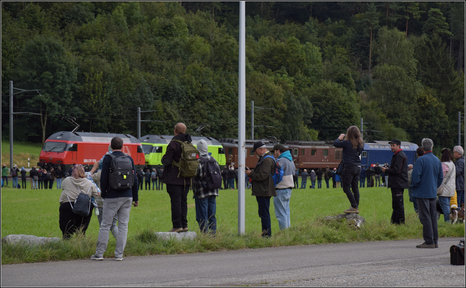 Grosses BoBo-Treffen in Balsthal: 60 Jahre Re 4/4 II in der Schweiz. 

Der Fotozug zur Gesamtschau wird nun zusammengestellt, von vorne nach hinten sind im Zug zusammengestellt: Re 460 058 (SBB), Re 465 011 (BLS), Ae 4/4 251 (BLS), Re 4/4 183 (BLS) und Re 450 012 (S-Bahn). Die Erwartung ist freudig, wie man sieht. Oensingen, September 2024.