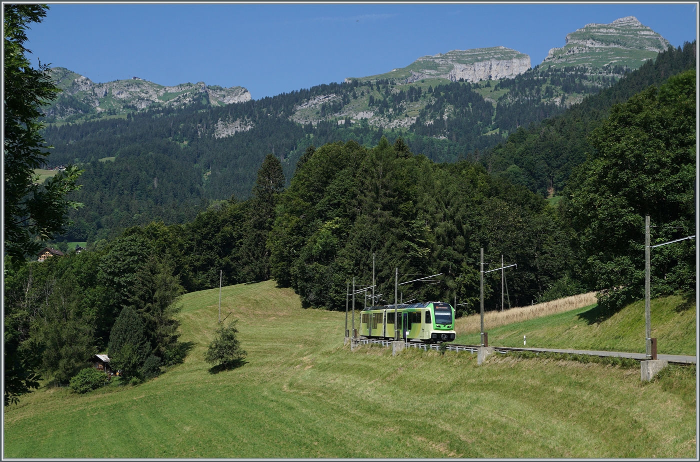 Hingegen geht der im Farbschema der TPC lackierte ABe 4/8 471 in den Farben der umliegenden Natur fast unter. Der Triebwagen ist auf dem Weg nach Les Diablerets. 

27. Juli 2024