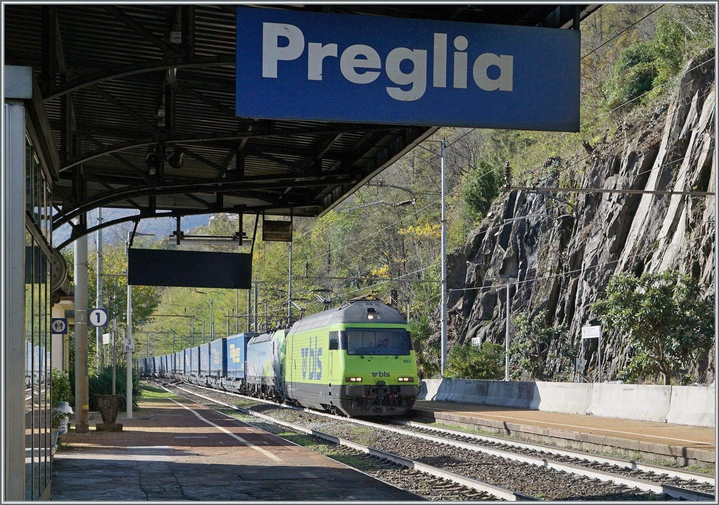 Mit der BLS Re 465 003 an der Spitze, einer Vectron an zweiter Stelle und einer BLS Re 465 als Schiebelok (hier nicht zu sehen) fährt ein Güterzug durch Preglia in Richtung Brig. 

31. Okt. 2024