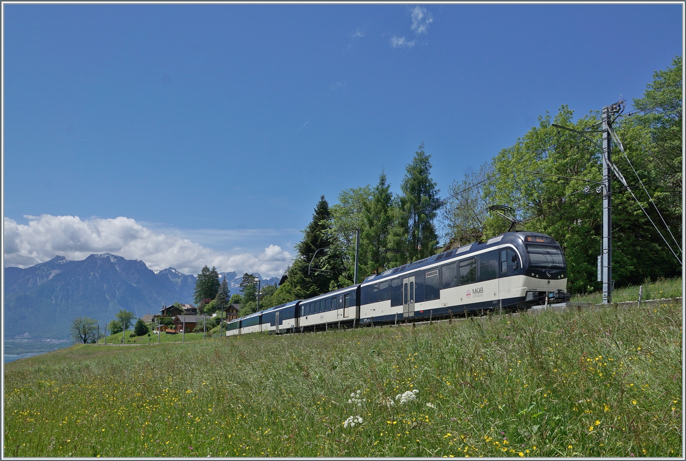 Mit dem Aussichtsteuerwagen Ast 116 an der Spitze und einem  Alpina  Be 4/4 Serie 9000 am Zugschluss ist ein MOB Regionalzug von Zweisimmen nach Montreux bei Les Avants unterwegs. 

28. Mai 2024