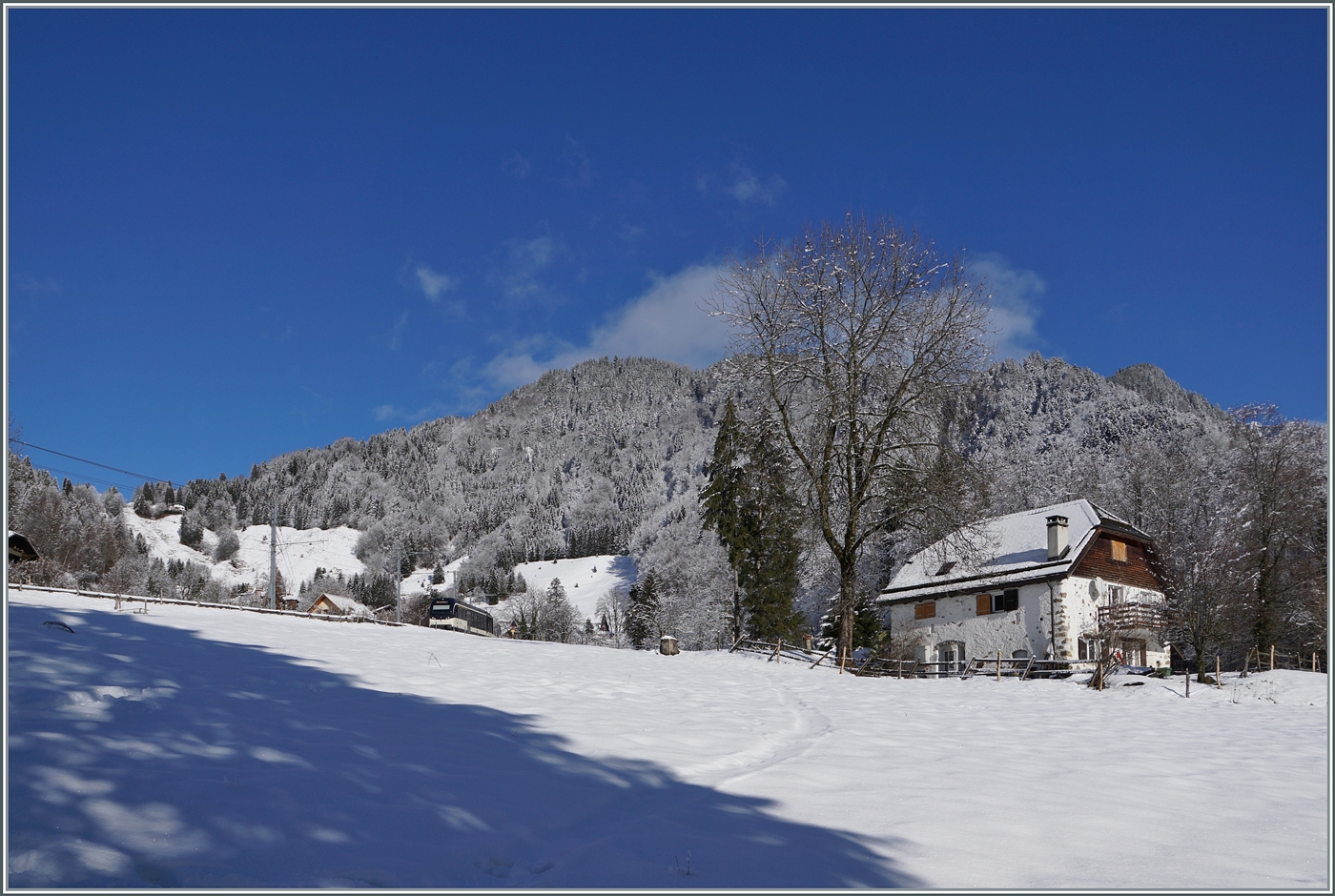 Neues Jahr, neuer Schnee - während der Nacht verwandelten ein paar Schneeflocken die Landschaft für eine kurze Moment in eine Winterwunderwelt... Bei Les Avants ist der CEV MVR ABeh 2/6 7507 als MOB R34 2315 auf dem Weg nach Montreux. 

3. Jan. 2025