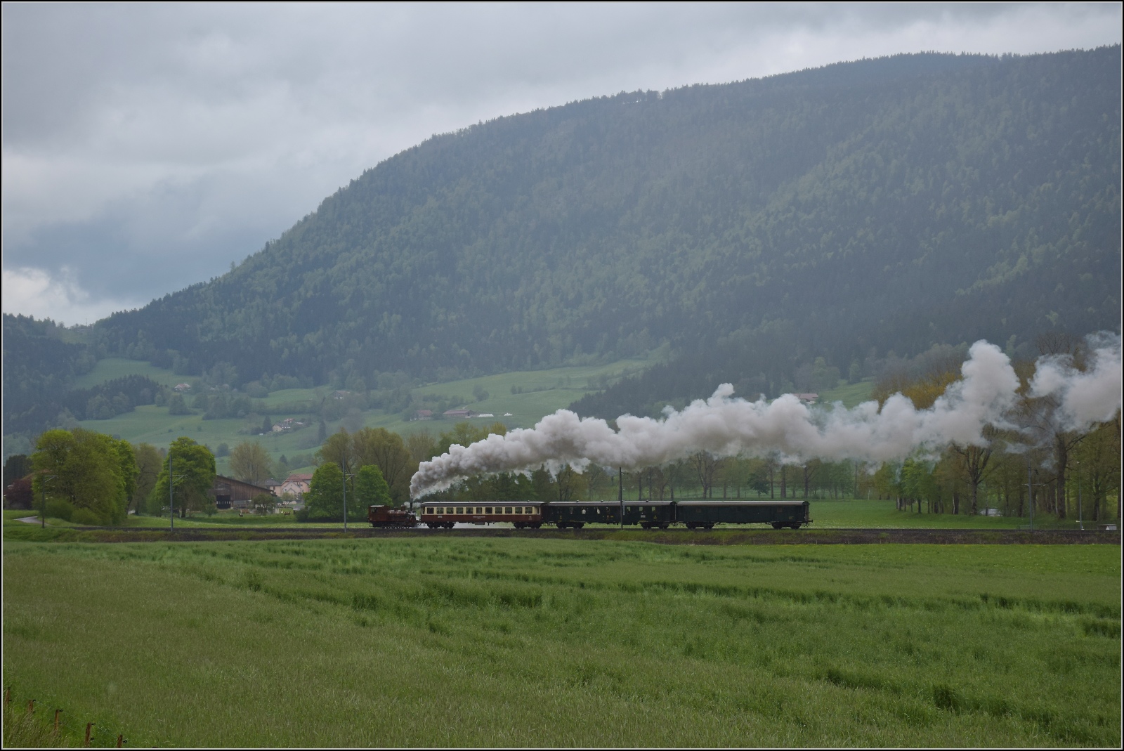 Vapeur Val-de-Travers: Train  Au fil de l'Areuse .

E 3/3 8511 nimmt zwischen La Presta und Travers Anlauf für die Steigung. Mai 2023.