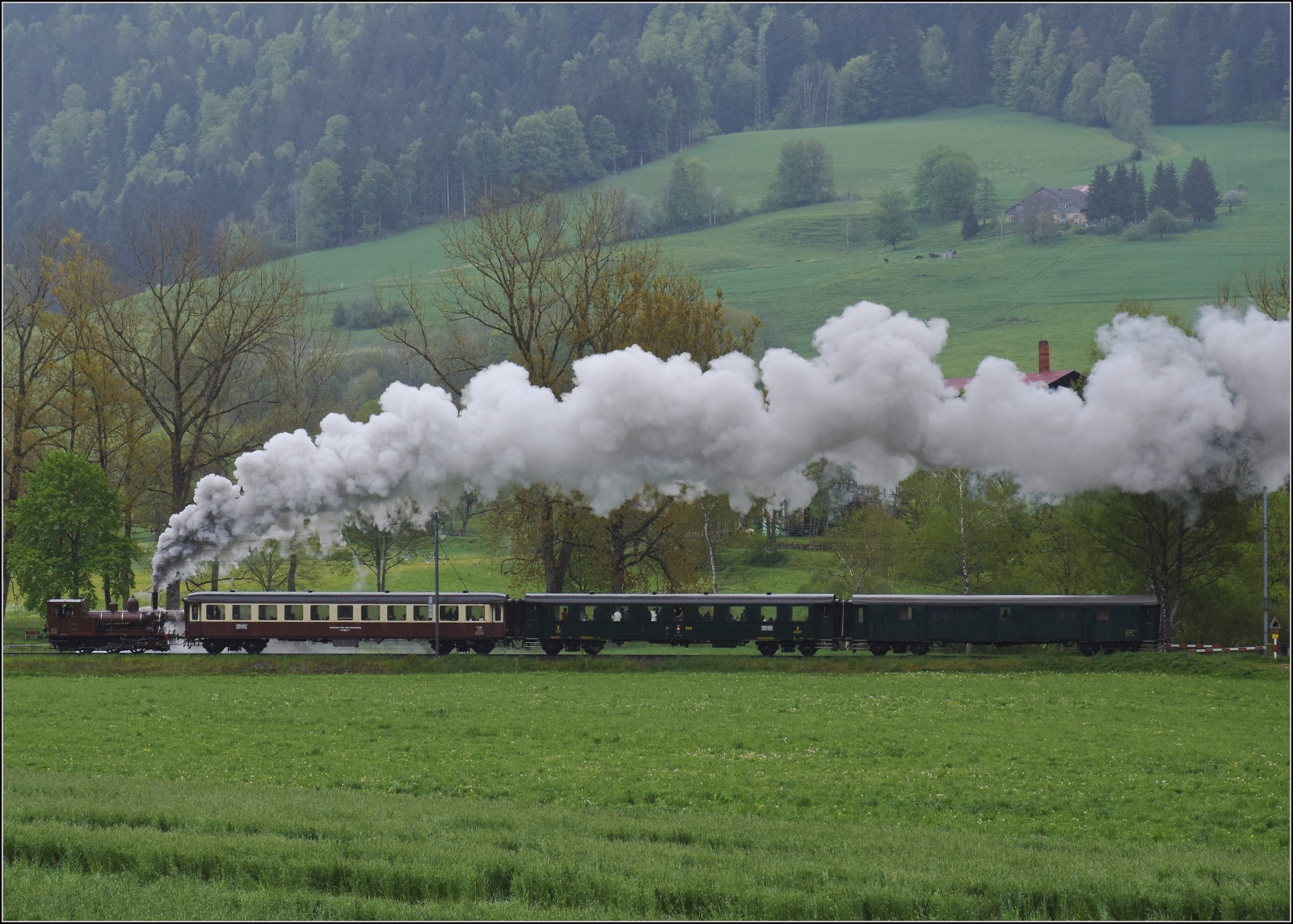 Vapeur Val-de-Travers: Train  Au fil de l'Areuse .

E 3/3 8511 nimmt zwischen La Presta und Travers Anlauf für die Steigung. Mai 2023.