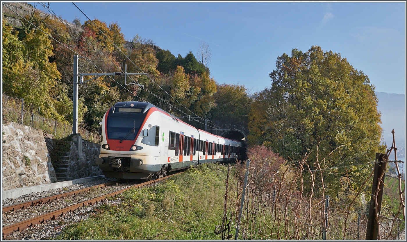 Von den vielen Tunneln in der Schweiz ist der Salanfe Tunnel auf der  Train de Vignes -Strecke wohl einer der unbedeutendsten, zudem er nur zwanzig Meter lang ist. Nach dem ich seit einigen Jahren bereits Bilder des Ostportals mache, reizte mich seit einiger Zeit das mir unbekannte Westportal: Dieses ist leider nicht ganz so einfach zug�nglich. Doch nach der Weinlese wagte ich es, die �rtlichkeit zu erkunden. W�hrend der Salanfe Tunnel auf dem Gemeindegebiet von Corseaux liegt, befindet sich meine Fotostelle auf dem Terrain von St-Saphorin, ein kleiner Bach, der Salenche der unmittelbar beim Westportal ins Tal fliesst, markiert die Grenze. 
Das Bild zeigt den SBB RABe 523 028 auf der Fahrt als R7 von Vevey nach Puidoux nach dem Verlassen des Salanfe Tunnel. 

16. Nov. 2024 